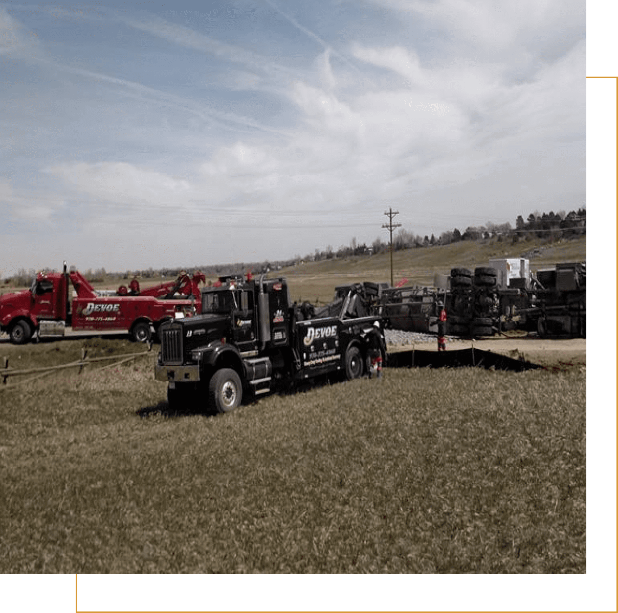 Model trucks displayed outdoors on grass under a cloudy sky.